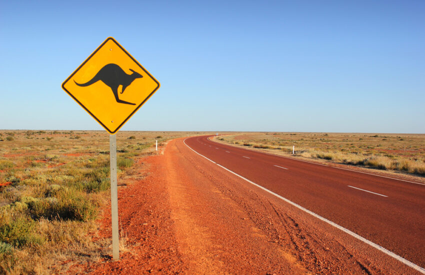 klokan, austrálie
