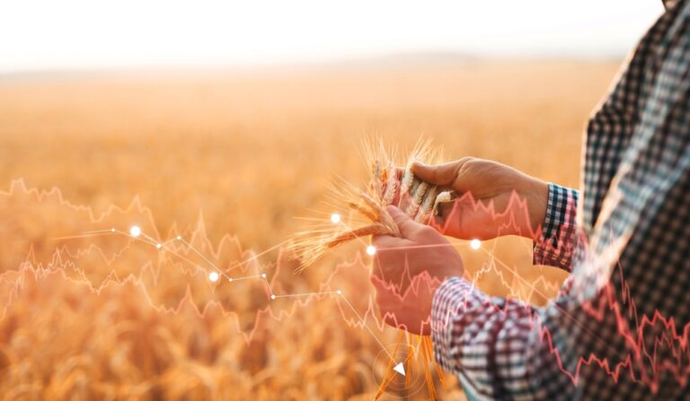 Rusko možná neprodlouží dohody o uvolnění exportu obilí přes Černé moře