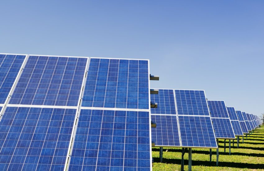 Greenbuddies staví solární elektrárny a infrastrukturu pro elektromobilitu v České republice i v zahraničí. V posledních šesti letech dokončila zhruba 750 MW fotovoltaických elektráren a nainstalovala přibližně 1,87 milionu fotovoltaických panelů.