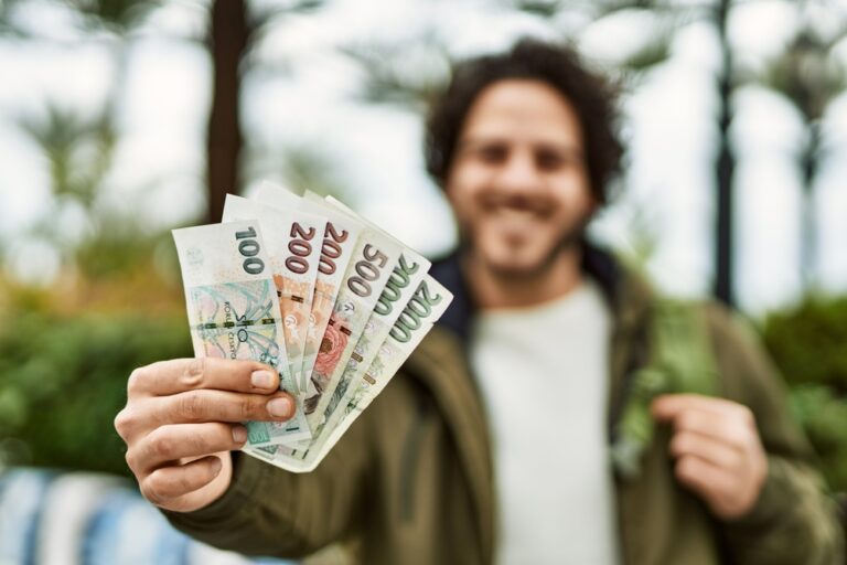 koruna vůči euru, česká koruna