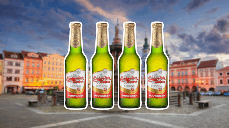 Budvar – privatizovat, nebo ne? | Ekonomický příběh na TradeInfoTV