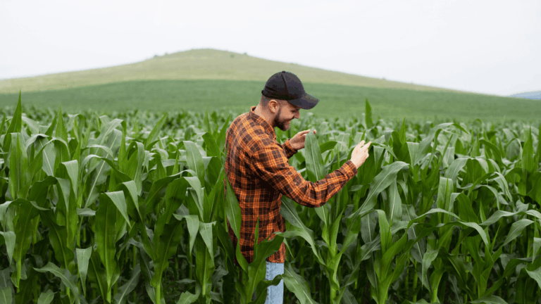 Agro. Zdroj fotky: Canva.com