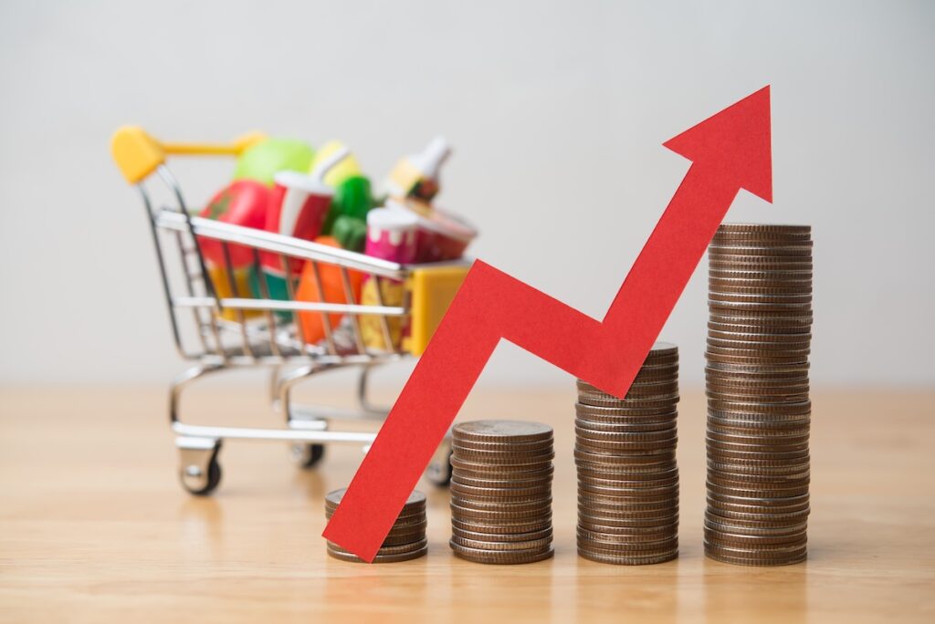 inflace432453245245 - Tradeinfo.cz inflace, Česko